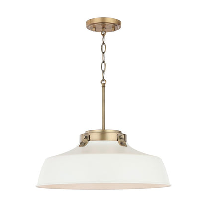 1 Light Pendant