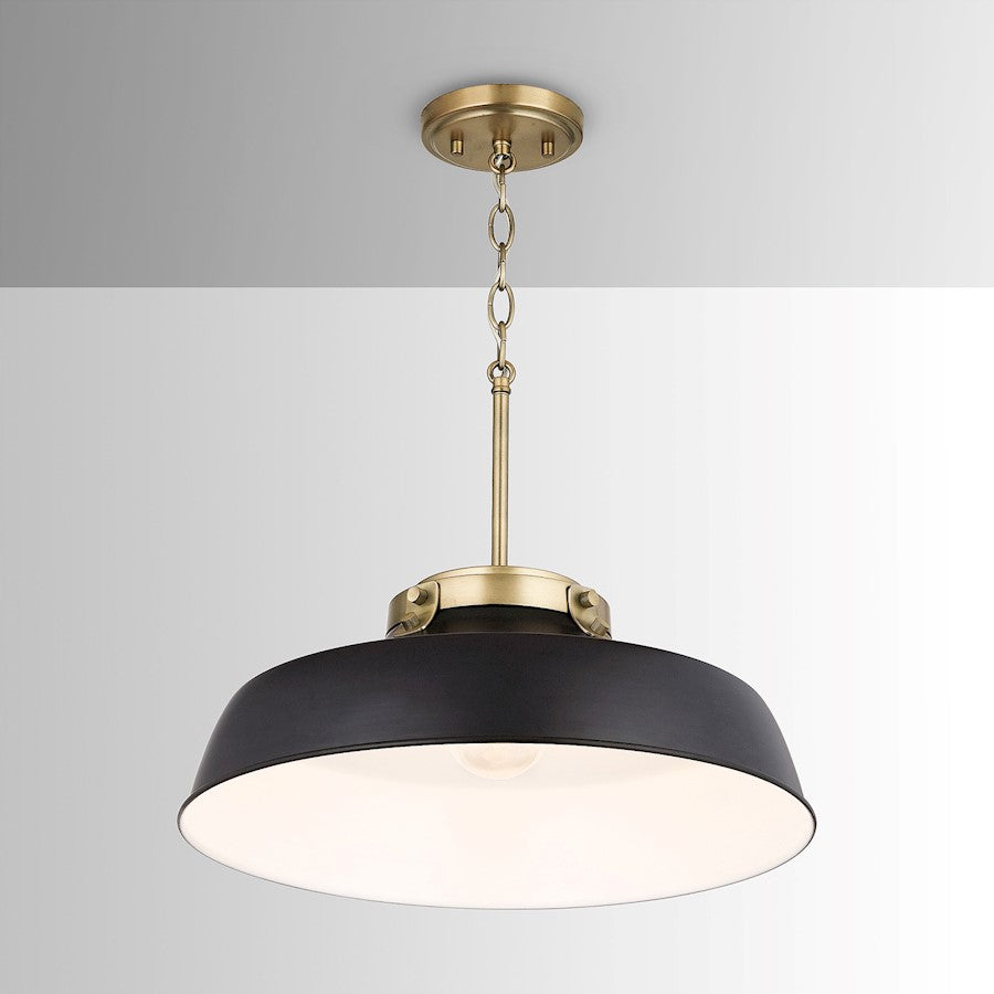 1 Light Pendant