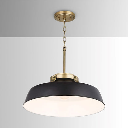 1 Light Pendant