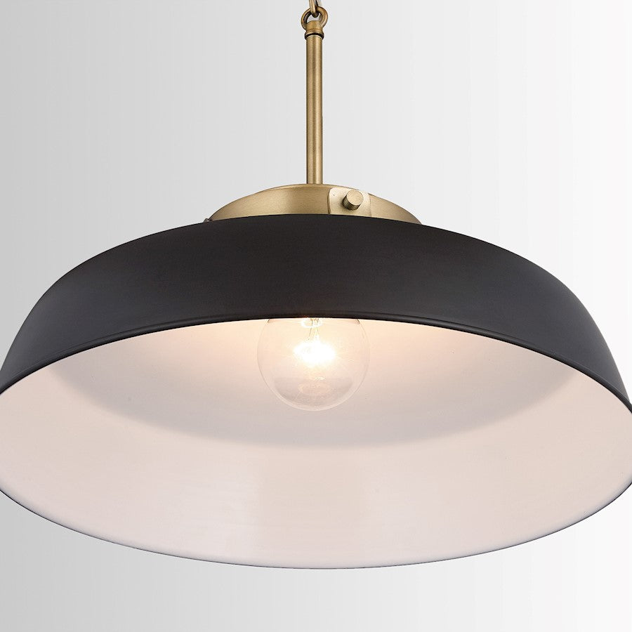 1 Light Pendant