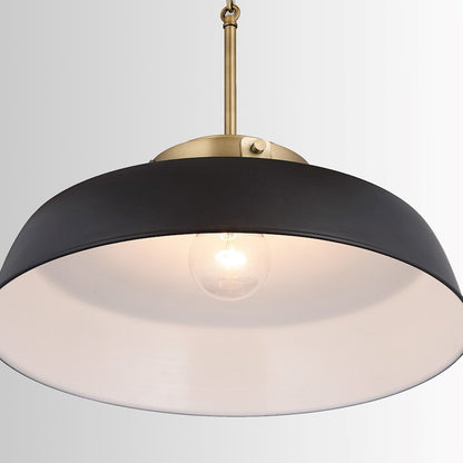 1 Light Pendant