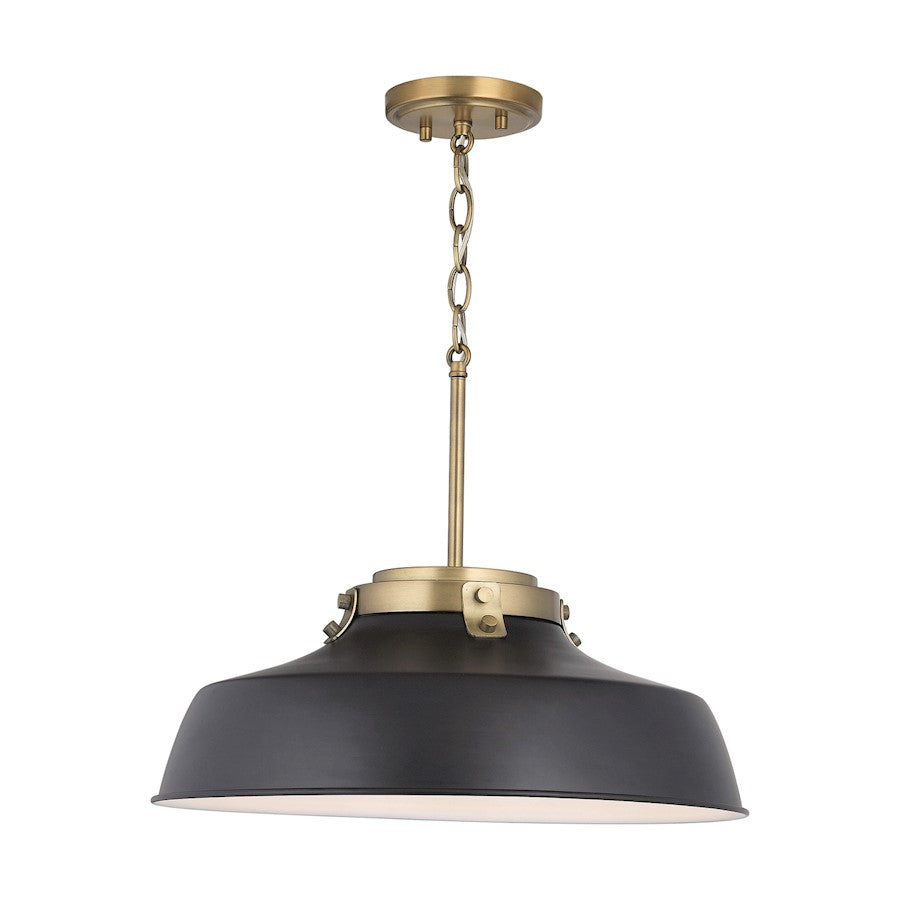 1 Light Pendant