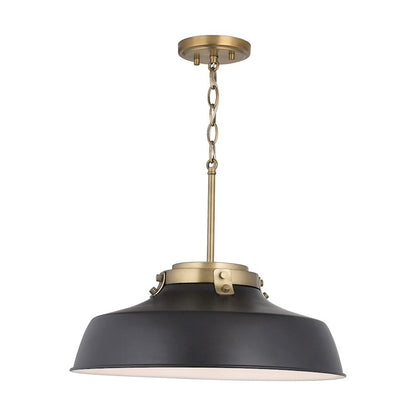 1 Light Pendant