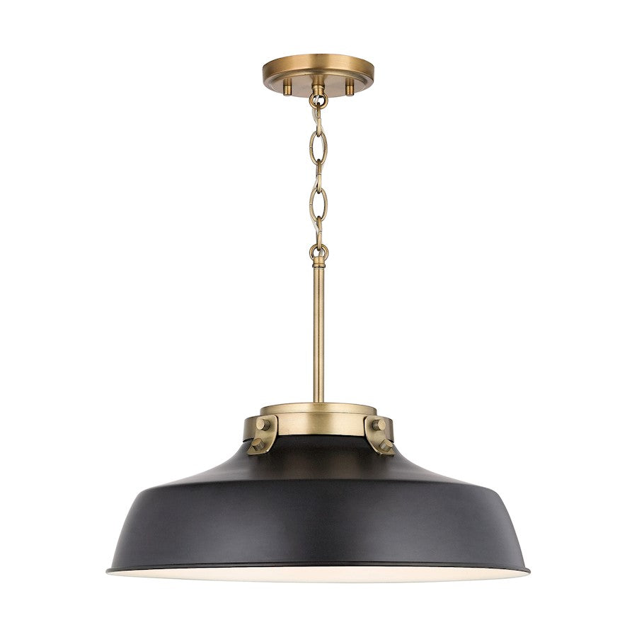 1 Light Pendant