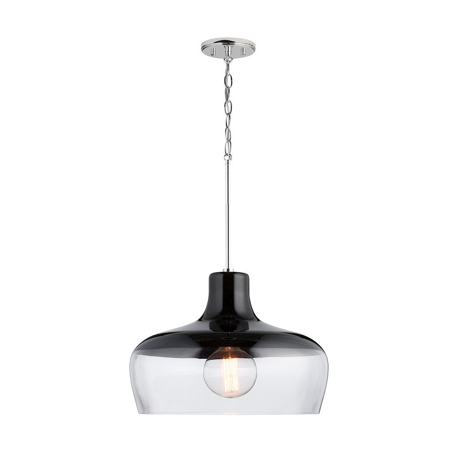 1 Light Pendant