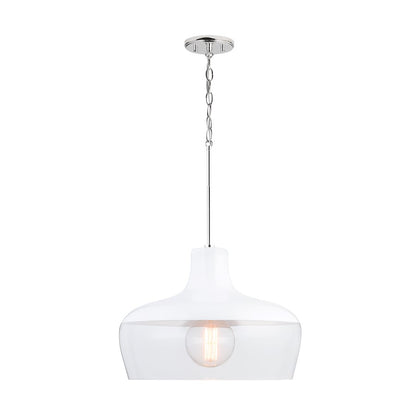 1 Light Pendant