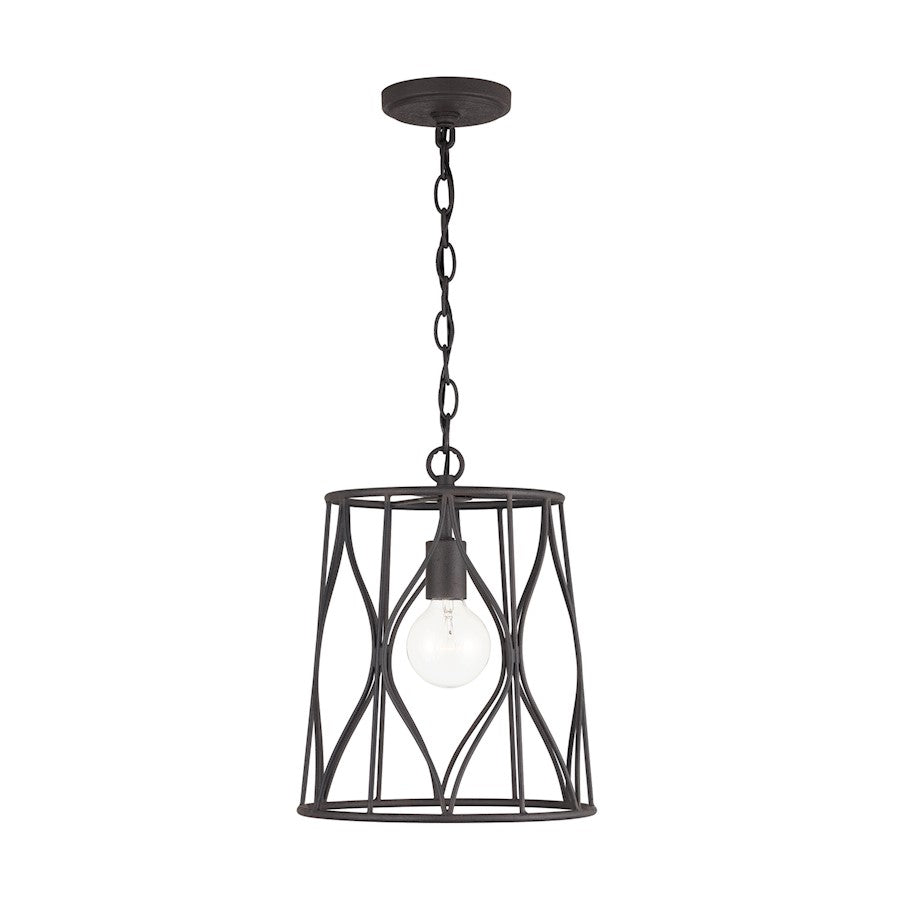 1 Light Pendant, Rustic Iron