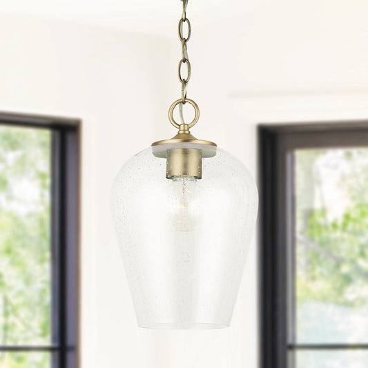 1 Light Pendant
