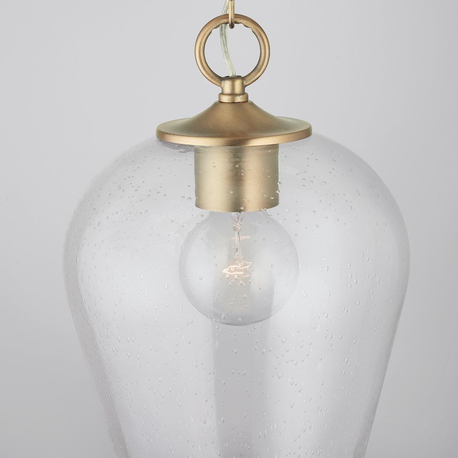 1 Light Pendant