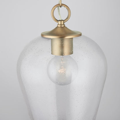 1 Light Pendant