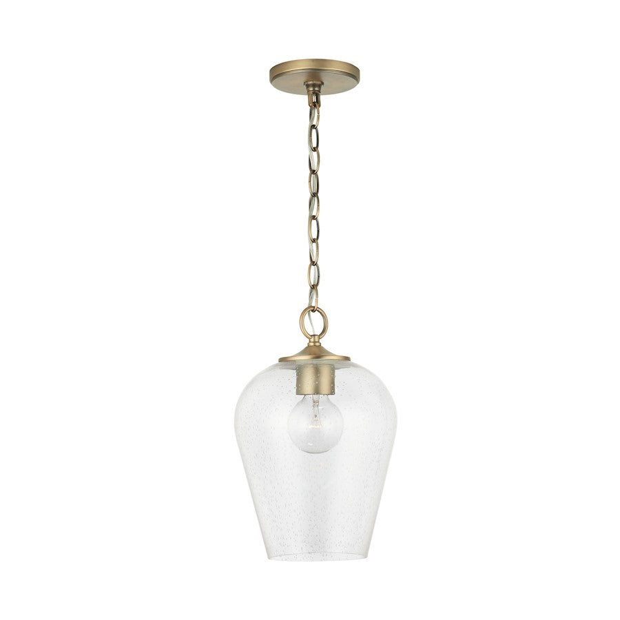 1 Light Pendant