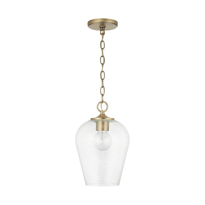 1 Light Pendant
