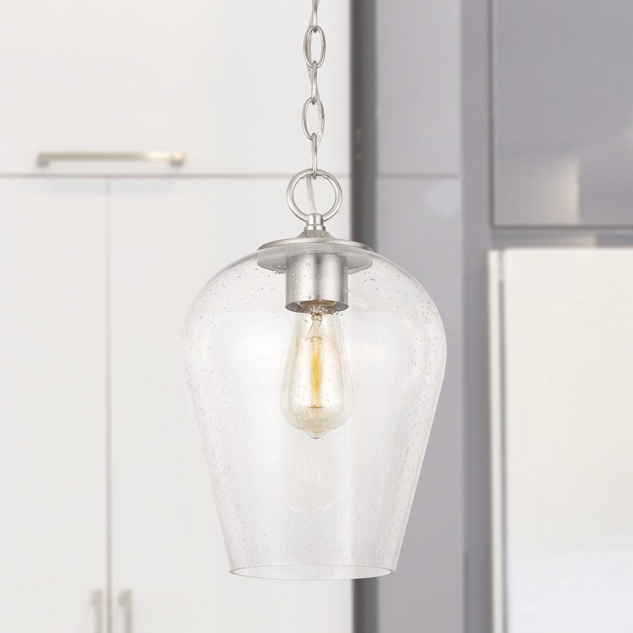 1 Light Pendant