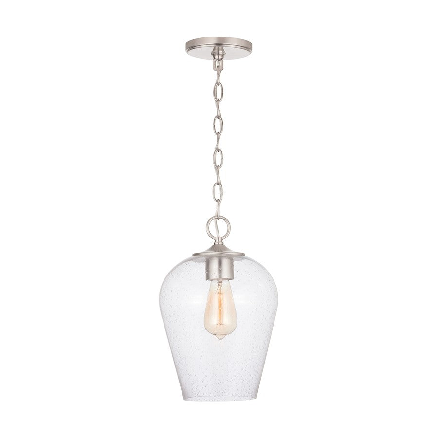 1 Light Pendant