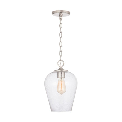 1 Light Pendant