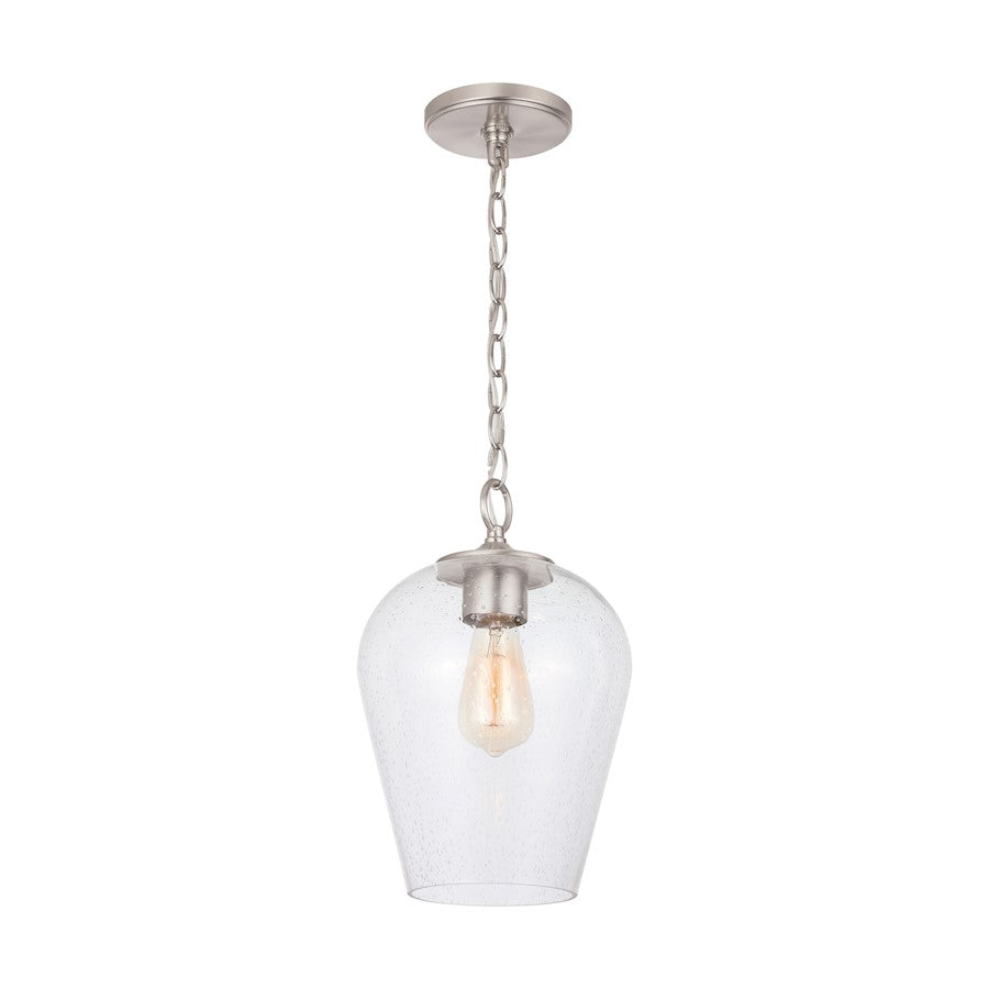 1 Light Pendant