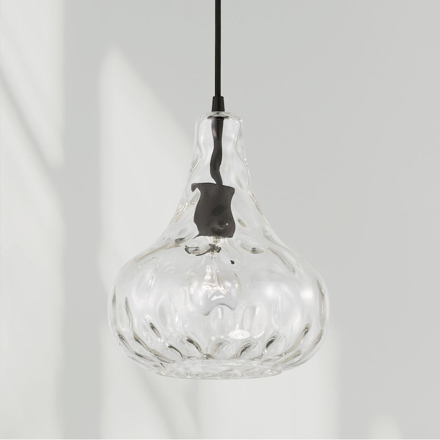 1 Light Pendant
