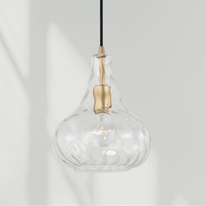 1 Light Pendant