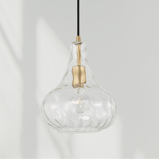 1 Light Pendant