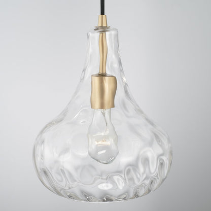 1 Light Pendant