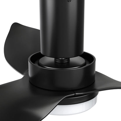 Carro Ryna 36in 3-Blade Flush Smart Ceiling Fan | Modern Black PP with LED Light | Bedroom & Small Living Room | 11.2 x 36 x | Model SFR363V2-L12-B2-1-FM
