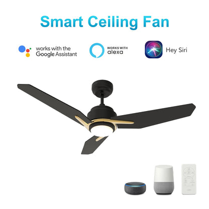 Carro Calen 48in 3-Blade Smart Ceiling Fan with LED | Modern Black Gold Plywood | Large Living Room & Covered Patio | 48 x 48 x | Model SFR483J3-L11-B2-1G