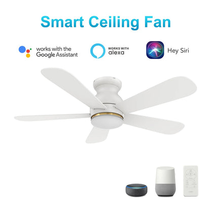 Carro Dubois 48in 5-Blade Flush Ceiling Fan | White Plywood and Integrated LED | Living Room & Covered Patio | 48 x 48 x 12.4 | Model SFR485Q-L12-W1-1-FM