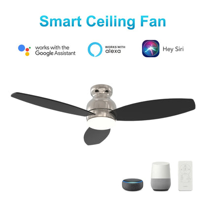 Carro Trento 52in 3-Blade Flush Ceiling Fan | Brushed Nickel Motor and Black Plywood Blades | Living Room, Bedroom & Covered | Model SFR523Q-L12-S2-1-FM