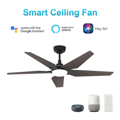 Carro Kaj 52in 5-Blade Smart Ceiling Fan | Black Plywood Blades and Glass Shade with Integrated LED | Living Room & Bedroom | Model SFR525B-L22-B2-1