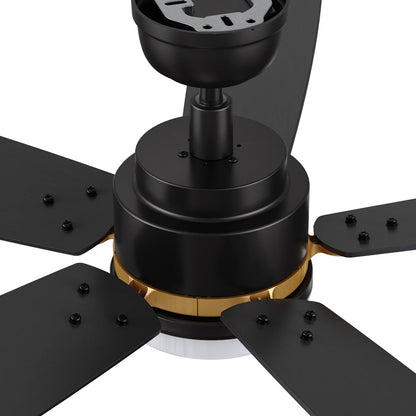 Carro Peyton 52in 5-Blade Smart Ceiling Fan | Modern Black Gold Finish and Plywood Blades | Living Room & Covered Patio | 52 x | Model SFR525B4-L12-B2-1G