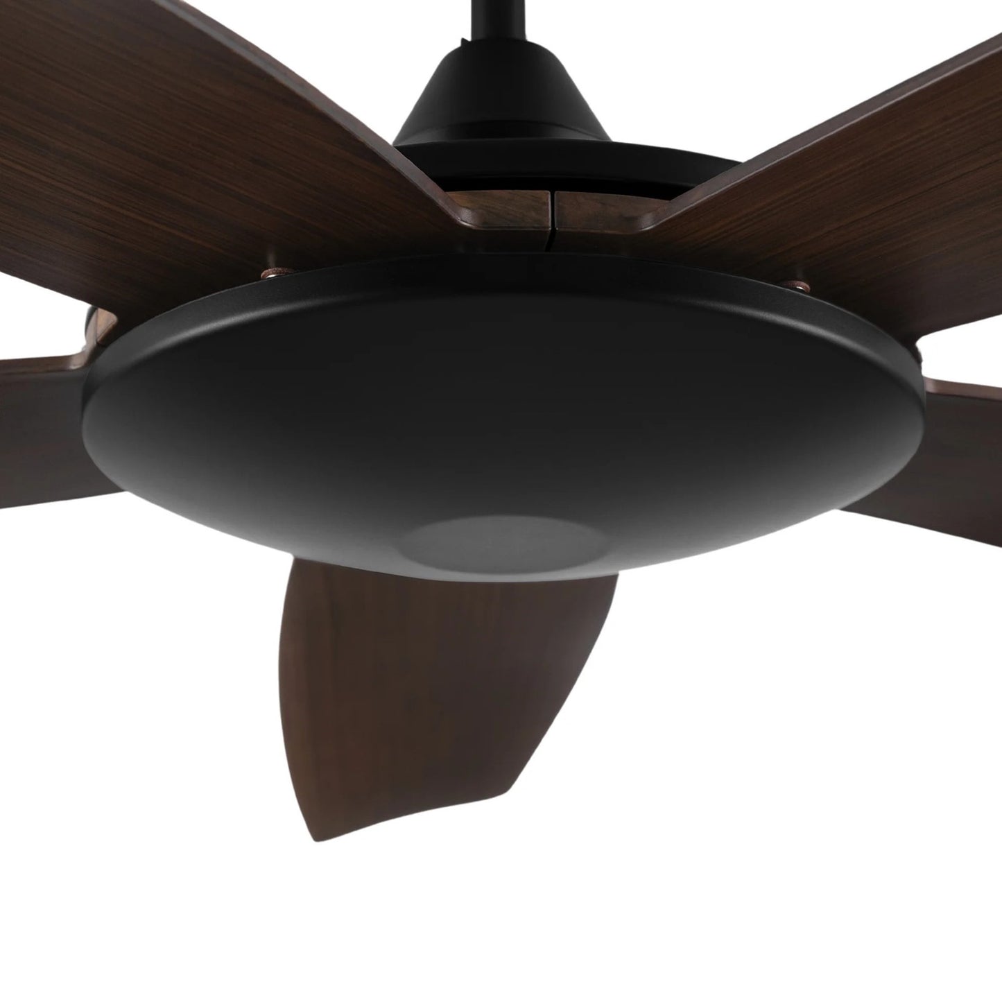 Carro Salem 52in 5-Blade Smart Ceiling Fan | Modern Black and High-Quality Plywood | Large Living Room & Family Room | 52 x 52 x | Model SFR525G4-N10-BW-1