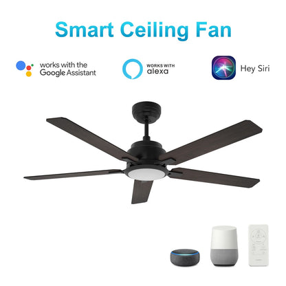 Carro Espear 52in 5-Light Ceiling Fan | Modern Black Walnut Plywood Blades | Living Room & Covered Patio | 52 x 52 x 14.4 in | Model SFR525J-L12-B5-1