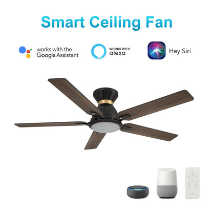 Carro Espear 52in Flush Mount Smart Ceiling Fan | Black Gold Barnwood Plywood Blades and Glass Shade | Large Living Rooms & | Model SFR525J-L12-BG-1-FMA