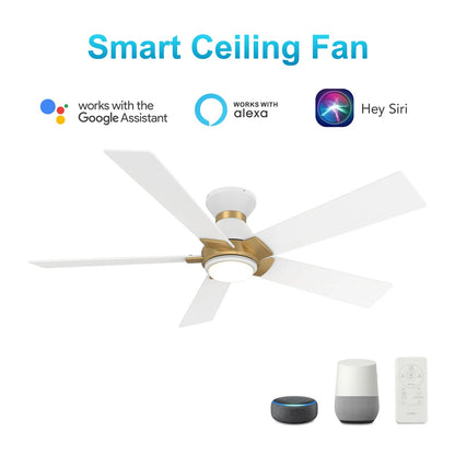 Carro Ascender 52in 5-Blade Flush Mount Smart Ceiling Fan | Modern White/Gold Plywood Blades and Integrated LED | Living | Model SFR525J1-L11-W1-1G-FMA