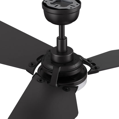 Carro Kaj 56in 3-Blade Smart Ceiling Fan | Black Walnut Plywood Blades and Integrated LED | Living Room & Covered Patio | 56 x 56 | Model SFR563B-L12-B5-1