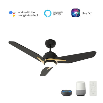 Carro Calen 56in 3-Blade Smart Ceiling Fan | Black Gold Plywood Blades | Living Room & Covered Patio | 56 x 56 x 13.2 in | Model SFR563J3-L11-B2-1G
