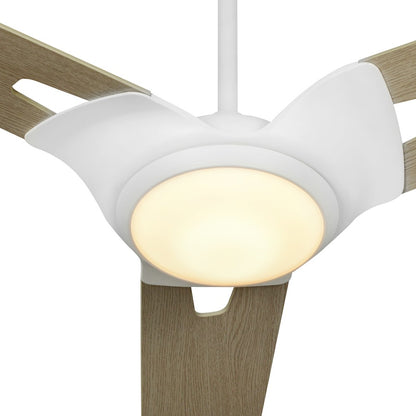 Carro Hoffen Smart Ceiling Fan