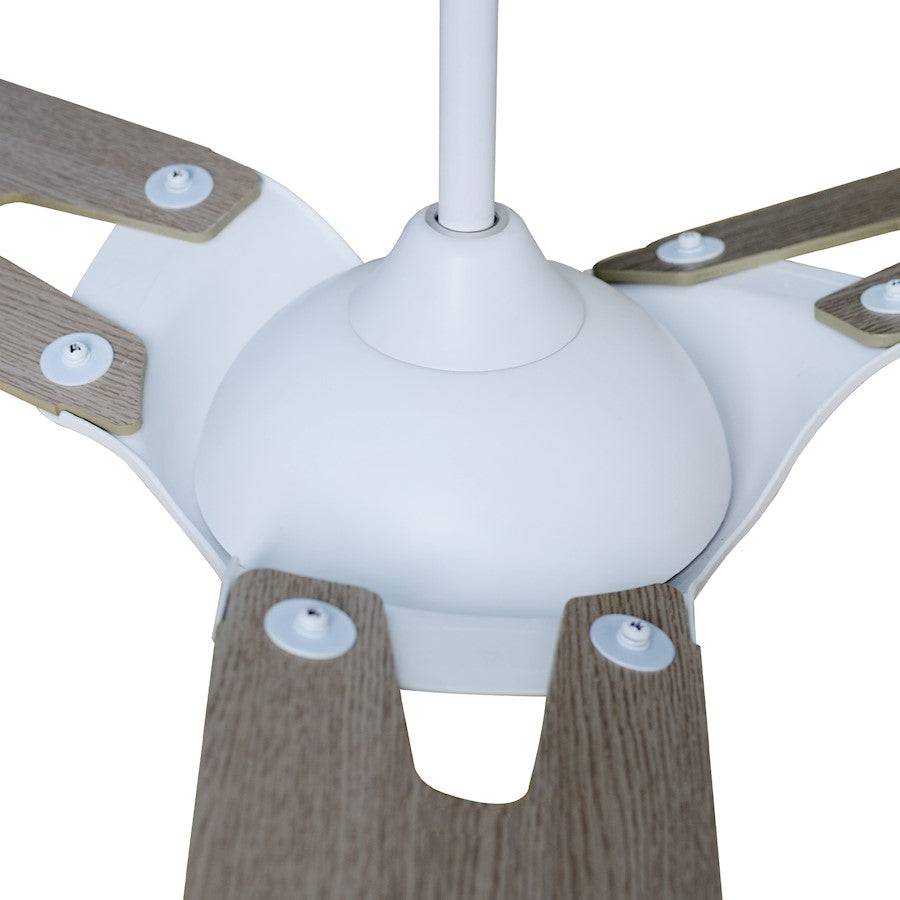 Carro Hoffen Smart Ceiling Fan