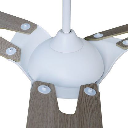 Carro Hoffen Smart Ceiling Fan