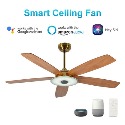 Carro Journey Smart Ceiling Fan/Remote/Light Kit