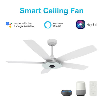 Carro Journey Smart Ceiling Fan/Remote/Light Kit