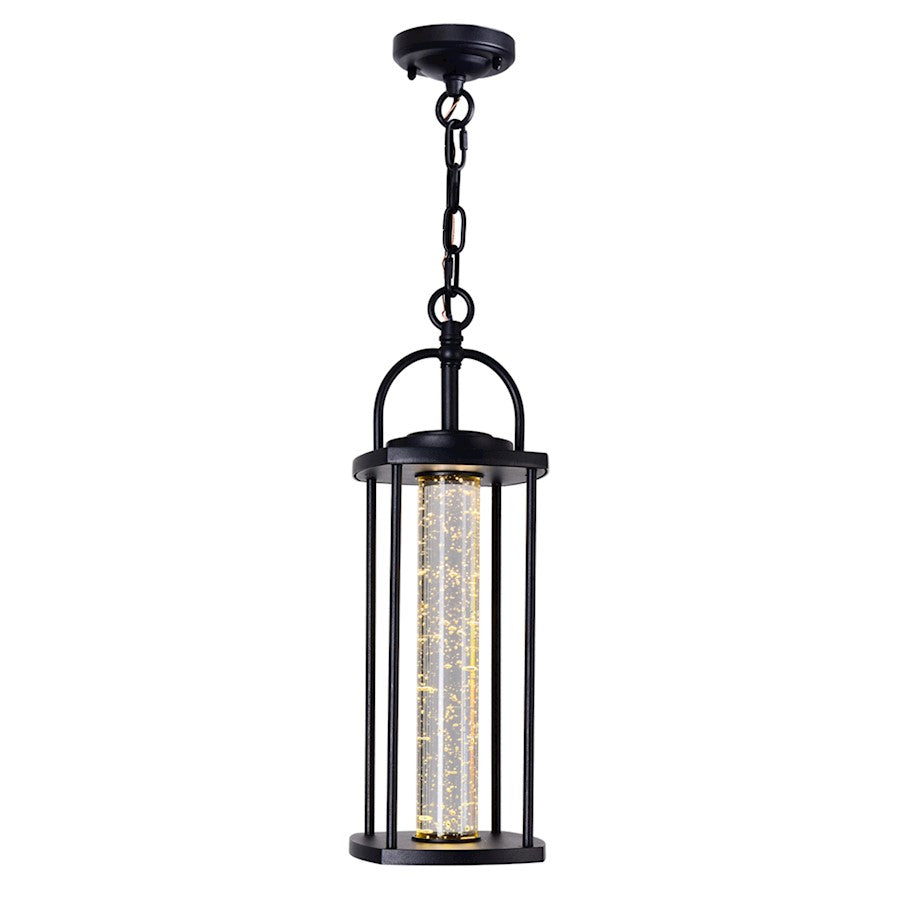 CWI Lighting Greenwood Outdoor Pendant, Black/Clear - 0407P6-1-101