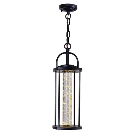CWI Lighting Greenwood Outdoor Pendant, Black/Clear - 0407P6-1-101