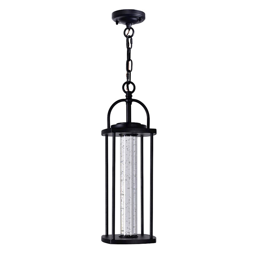 Outdoor Pendant, Black/Clear