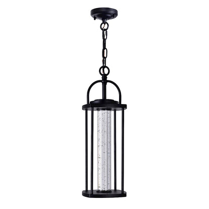 Outdoor Pendant, Black/Clear