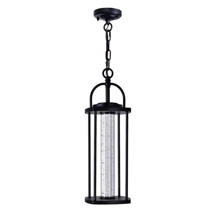 CWI Lighting Greenwood Outdoor Pendant, Black/Clear