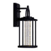 CWI Lighting Greenwood 13"H Outdoor Wall Light, Black/Clear - 0407W7-1-101