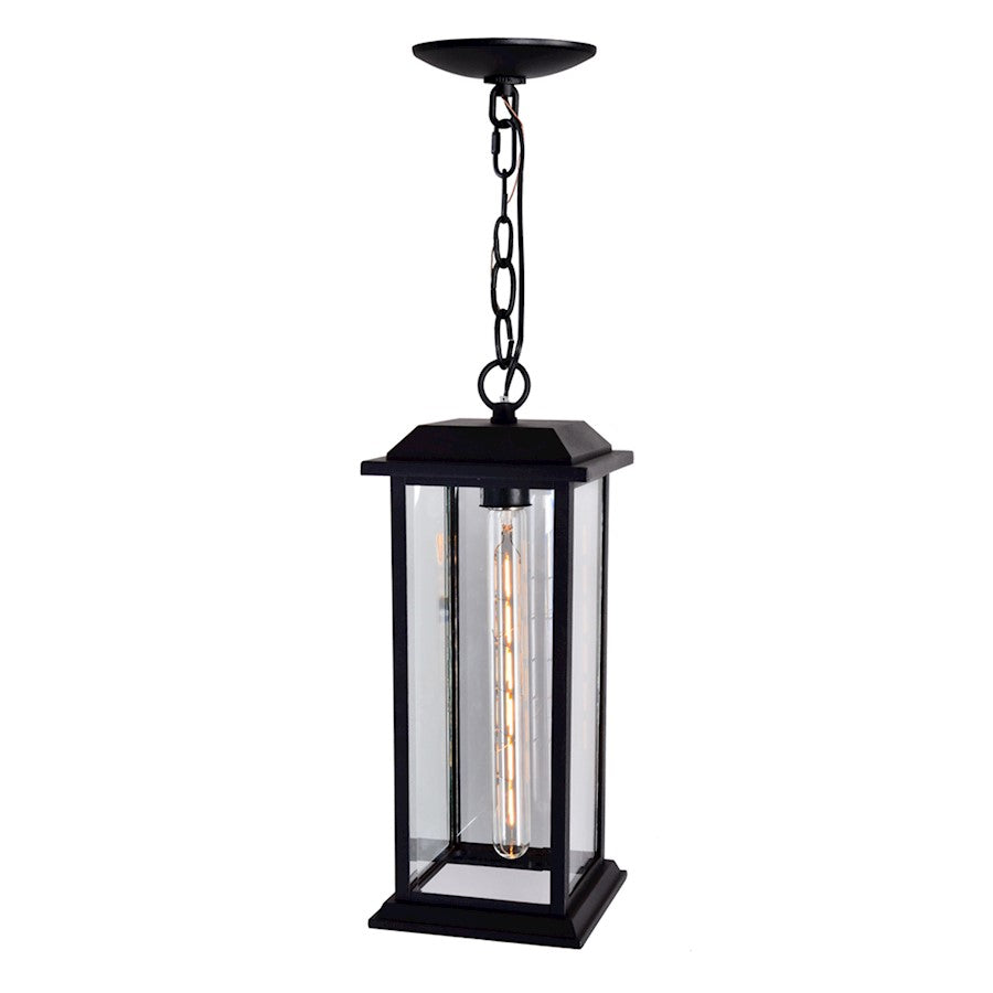 1 Light Outdoor Pendant, Black/Clear