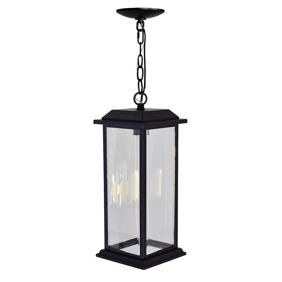 1 Light Outdoor Pendant, Black/Clear