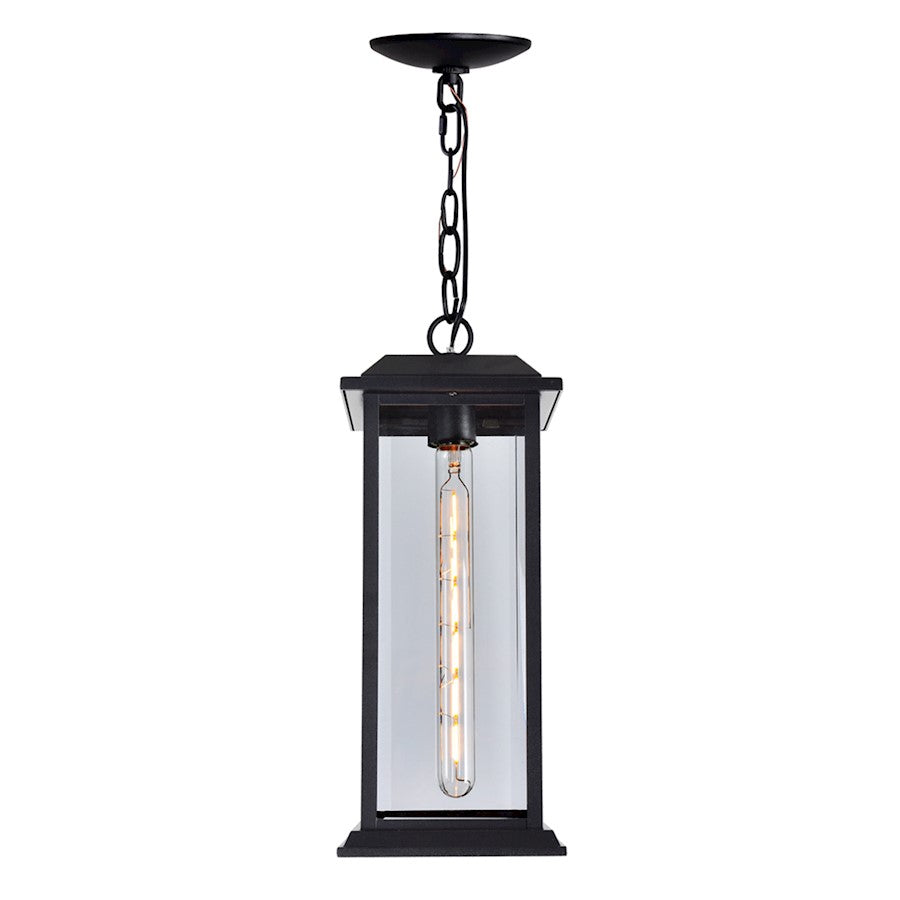 1 Light Outdoor Pendant, Black/Clear